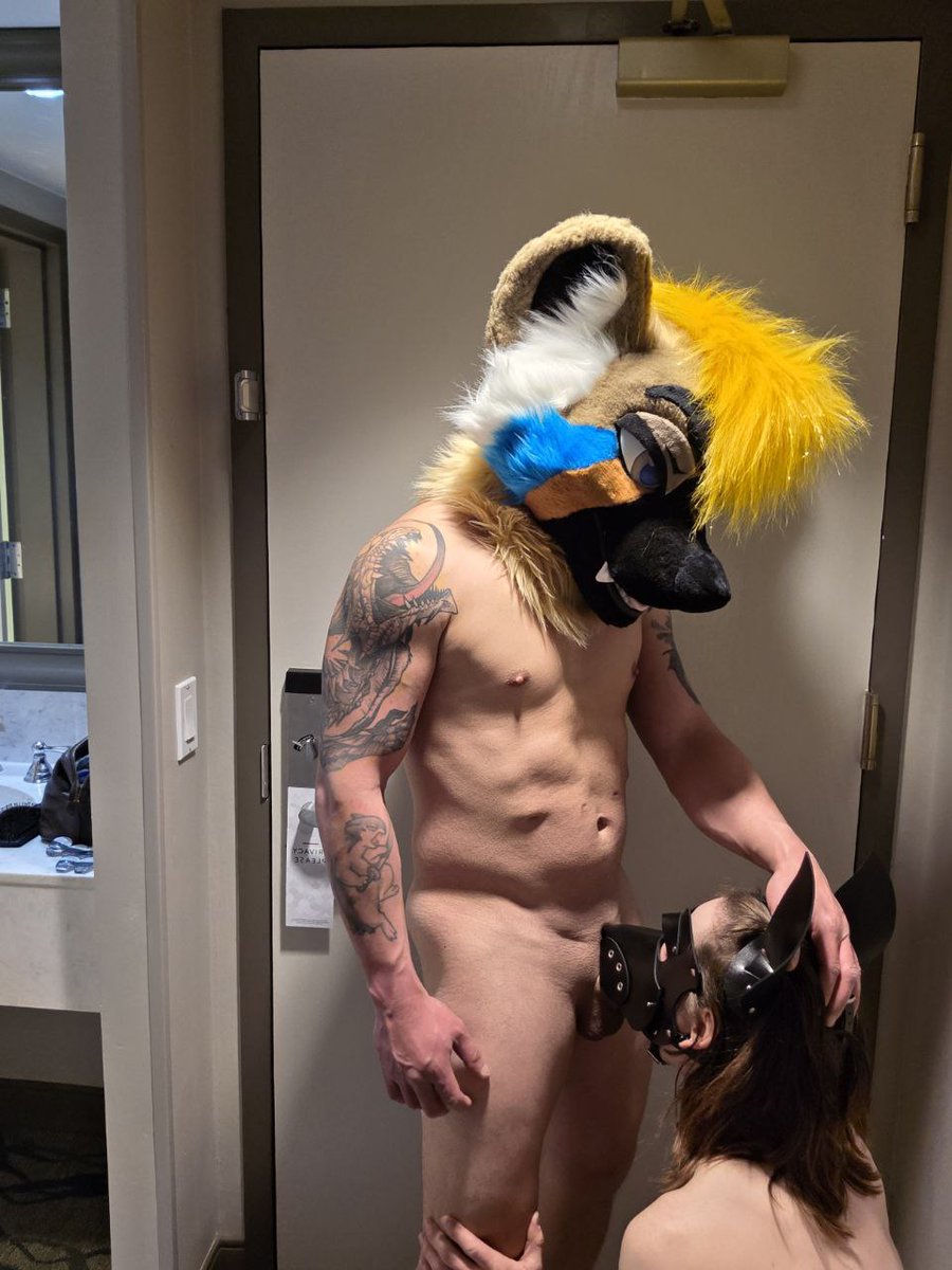 Lace 🎀 tweet media