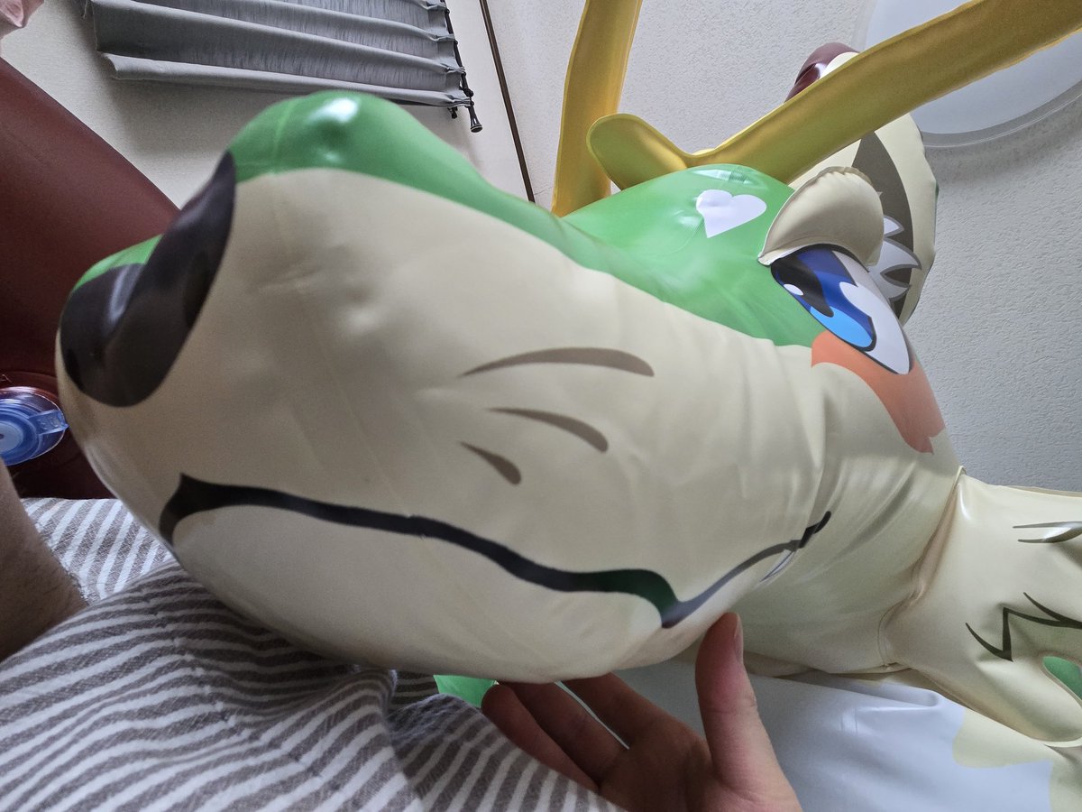 ロホ・ハンセル tweet media