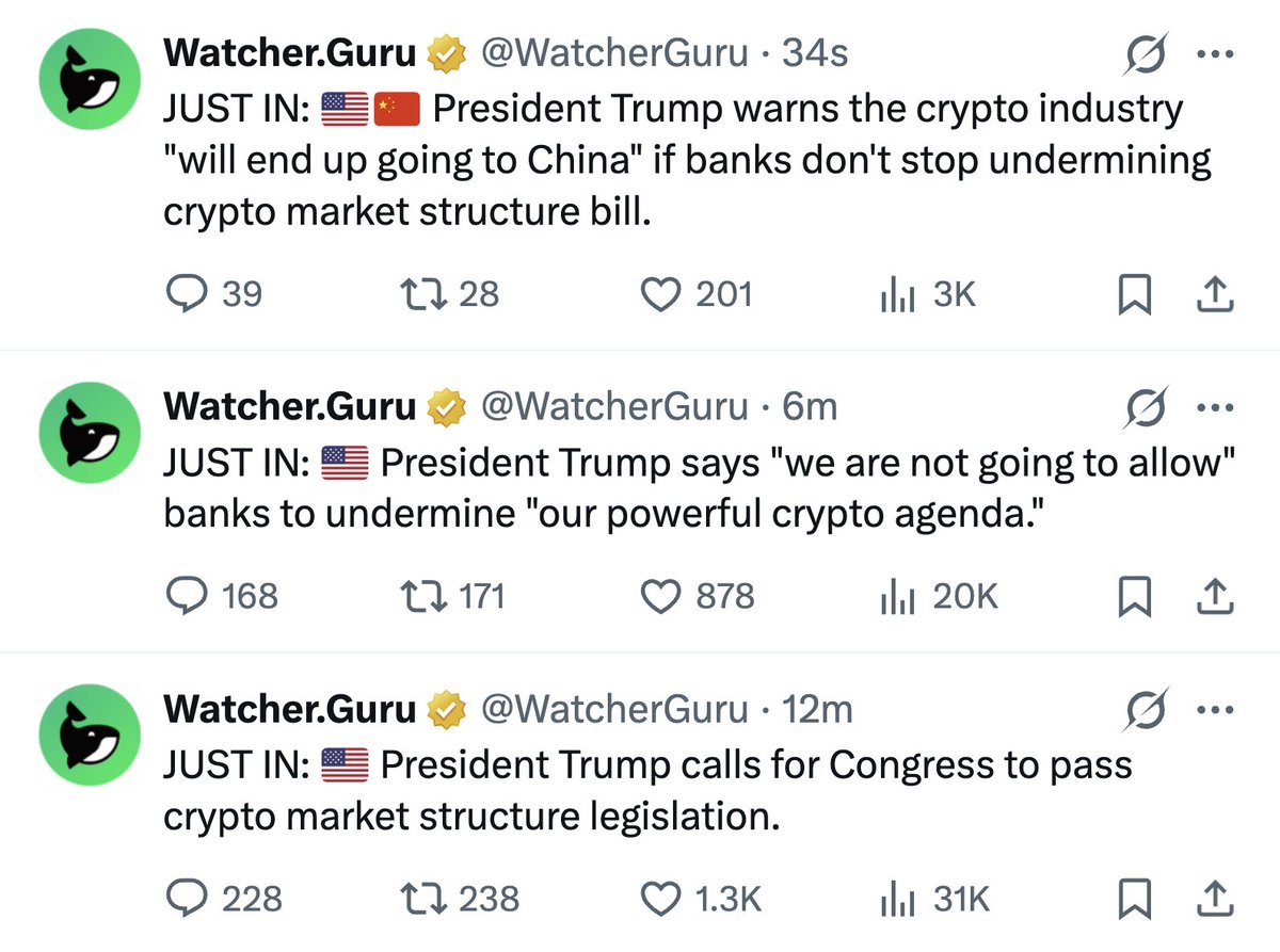 bruce (neet/acc) tweet media