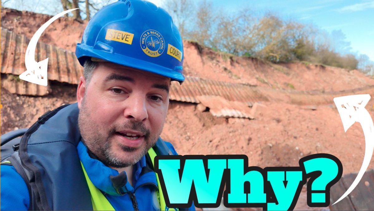 Court Above The Cut tweet media