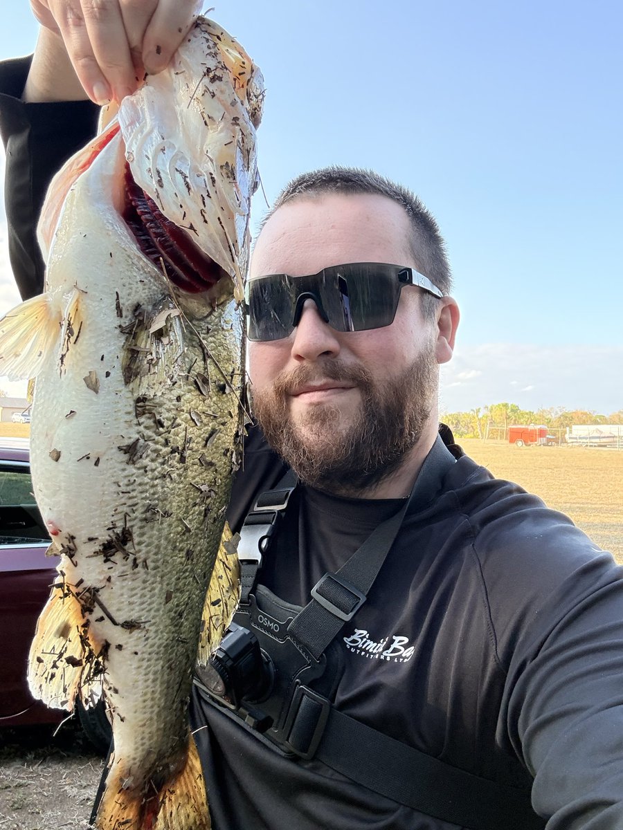 FeaR Moho tweet media