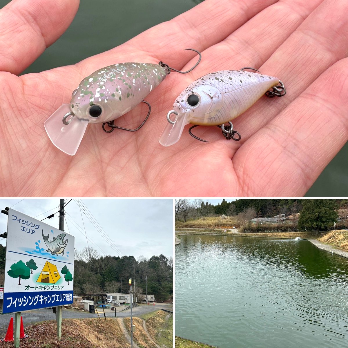 オリカラ活躍✨ 昨日のエリアトラウト釣行ブログをアップしましたので