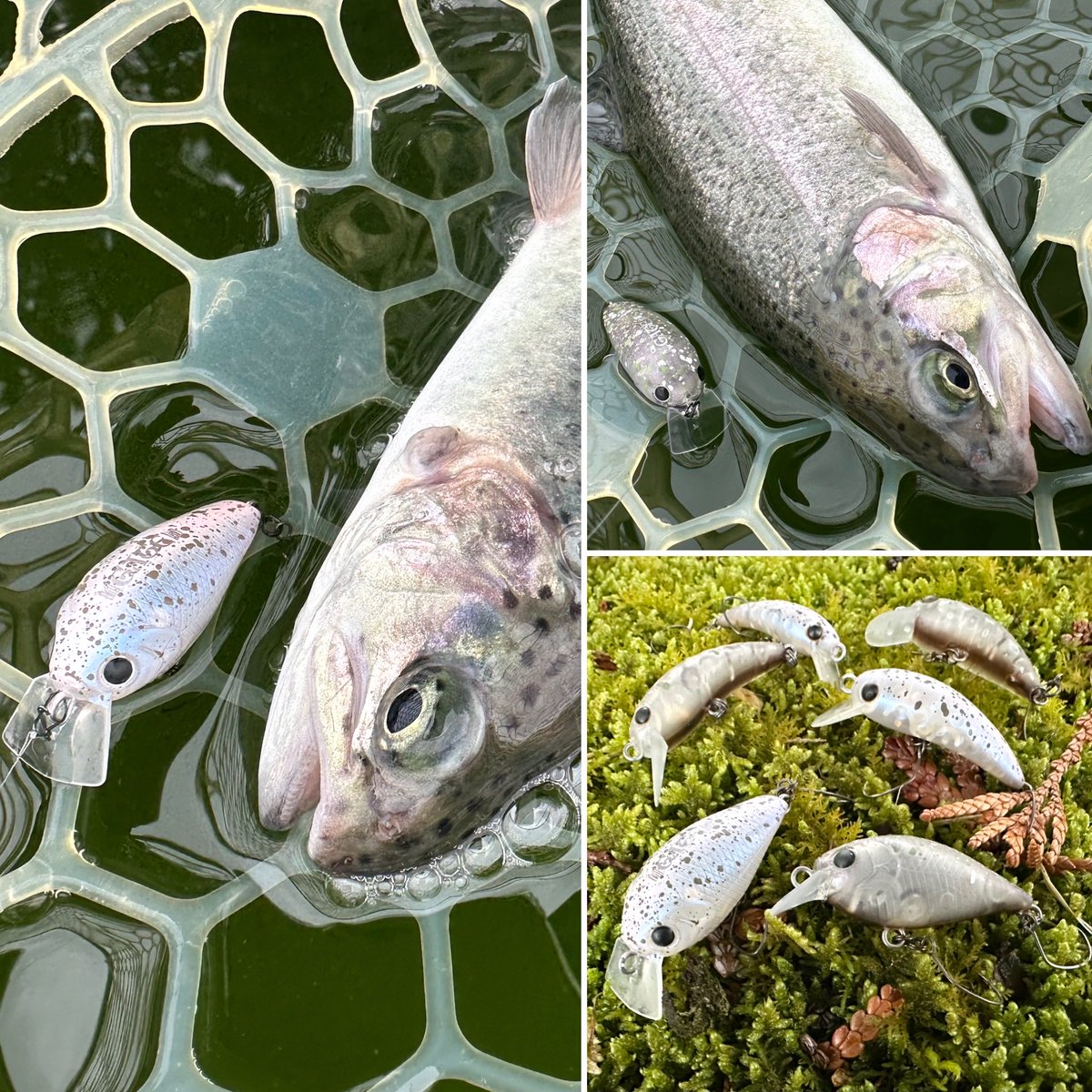 皆様〜 宜しくお願い致します🙇🙇🙇