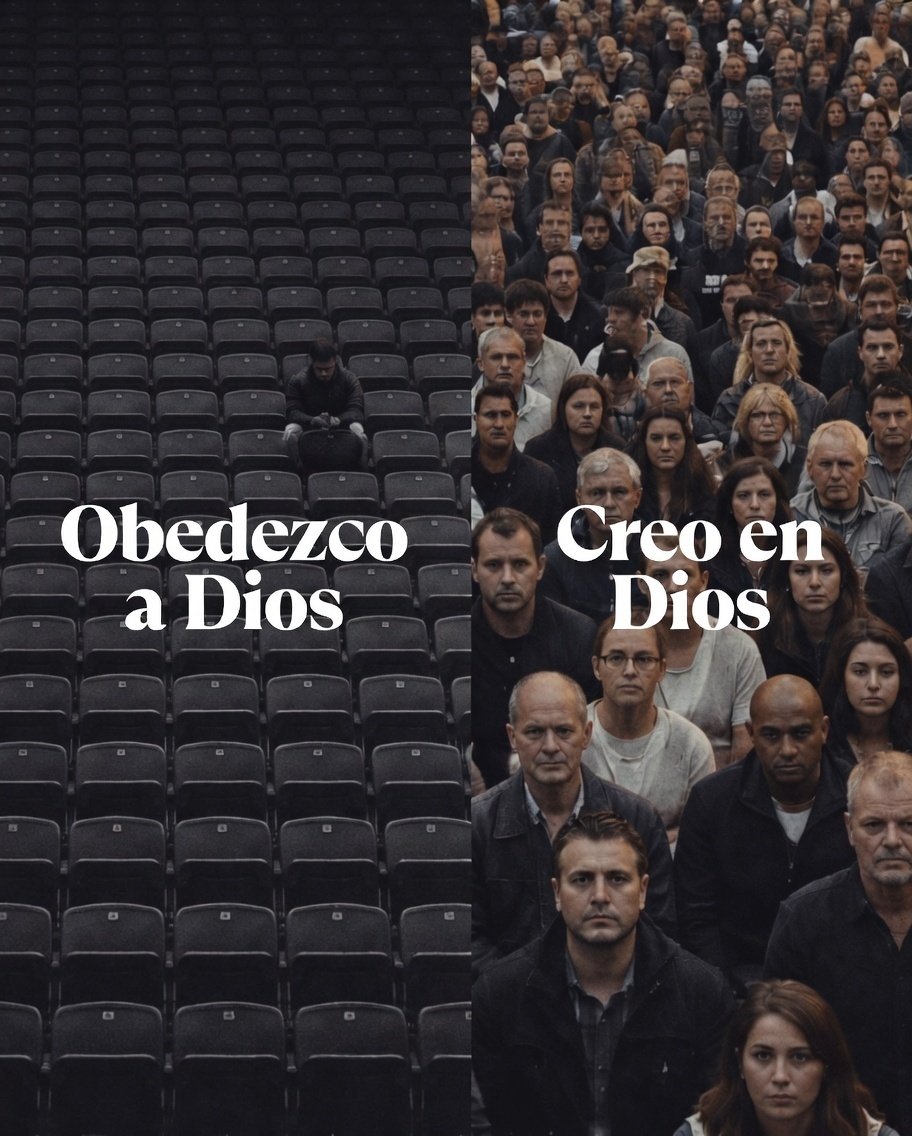 el Siervo (@elsiervo__) on Twitter photo 