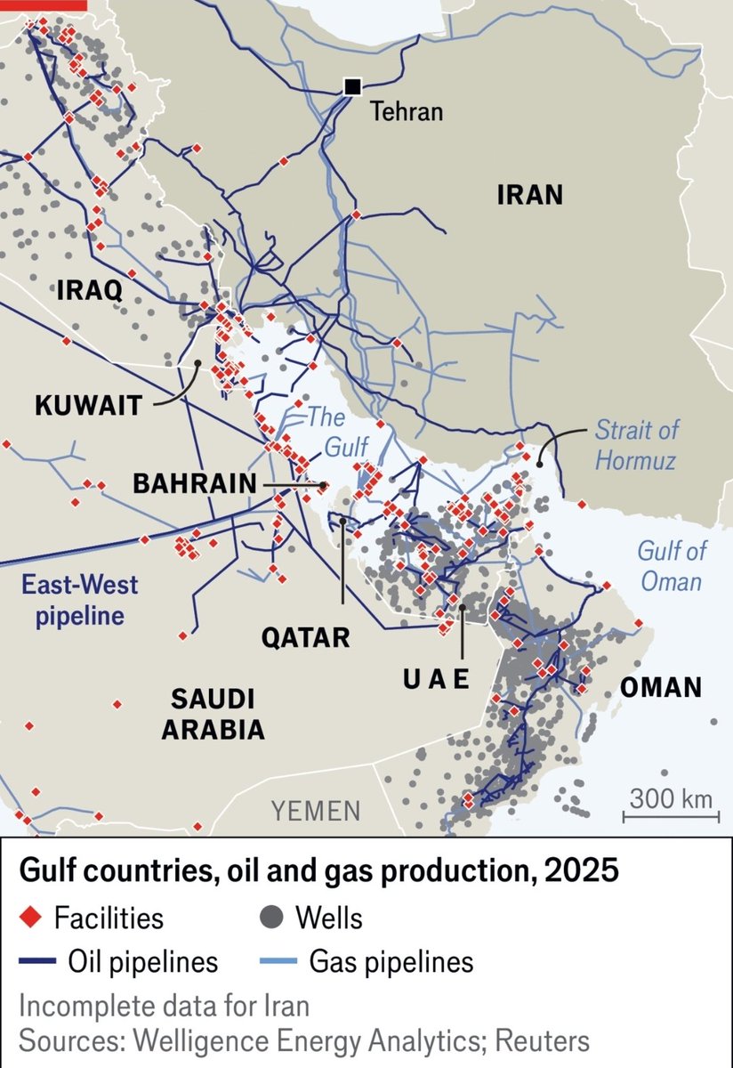 Mike Bird tweet media