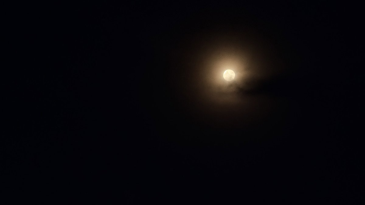 kp_alone's tweet photo. Driving under the moonlight, windows down, favourite playlist on repeat 🫠.. the road ahead glowing softly while the world feels still. What more could I ask for? Pure bliss. ❤️🌙✨
#MoonlightDrive #MorningVibes https://t.co/rBPGDZQl9s