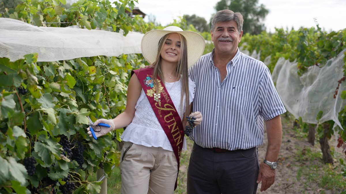 Mario Abed tweet media