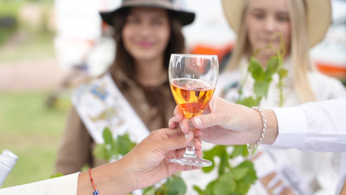 Mario Abed tweet media