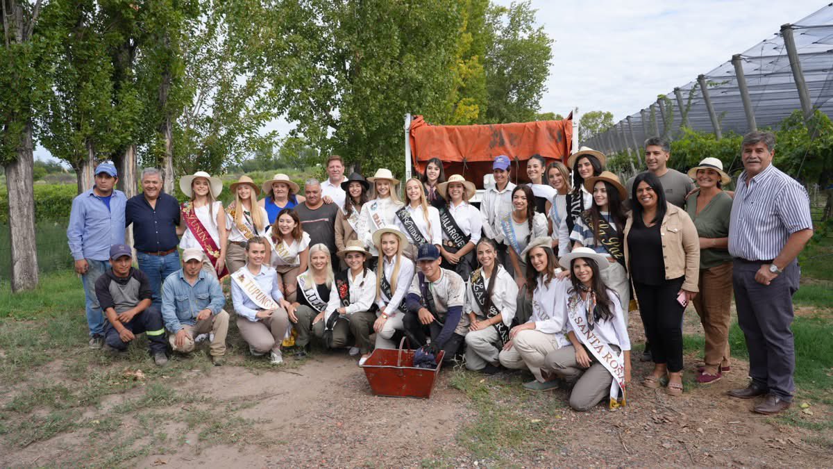 Mario Abed tweet media