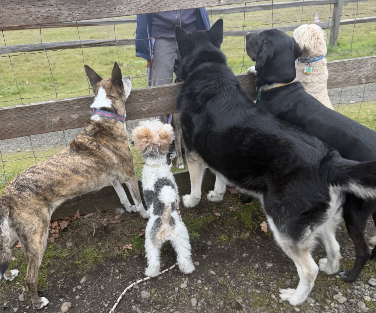 호밀빵의 파수꾼 tweet media