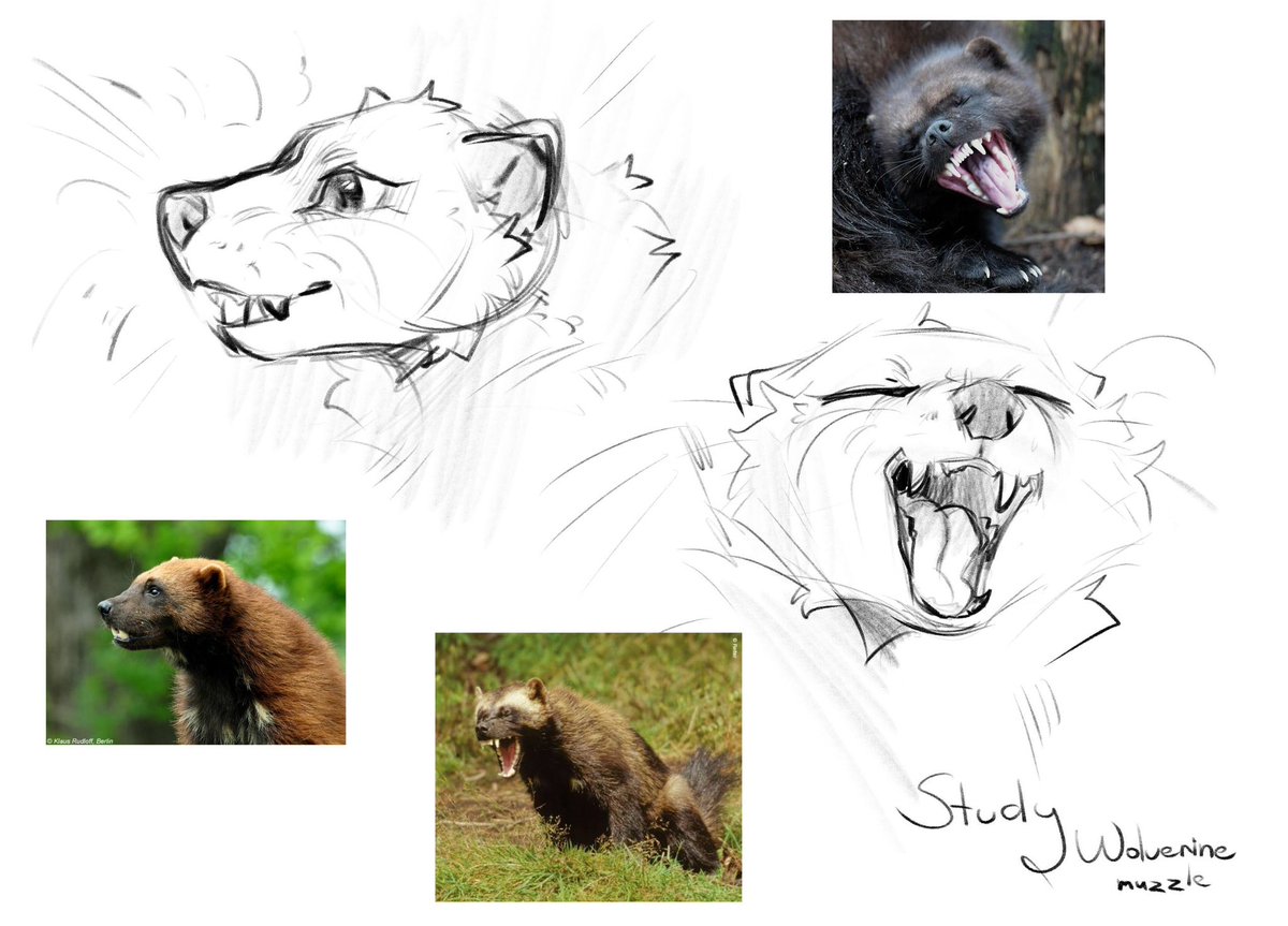 ✨🌈 c o d a 🌈✨🔞 tweet media