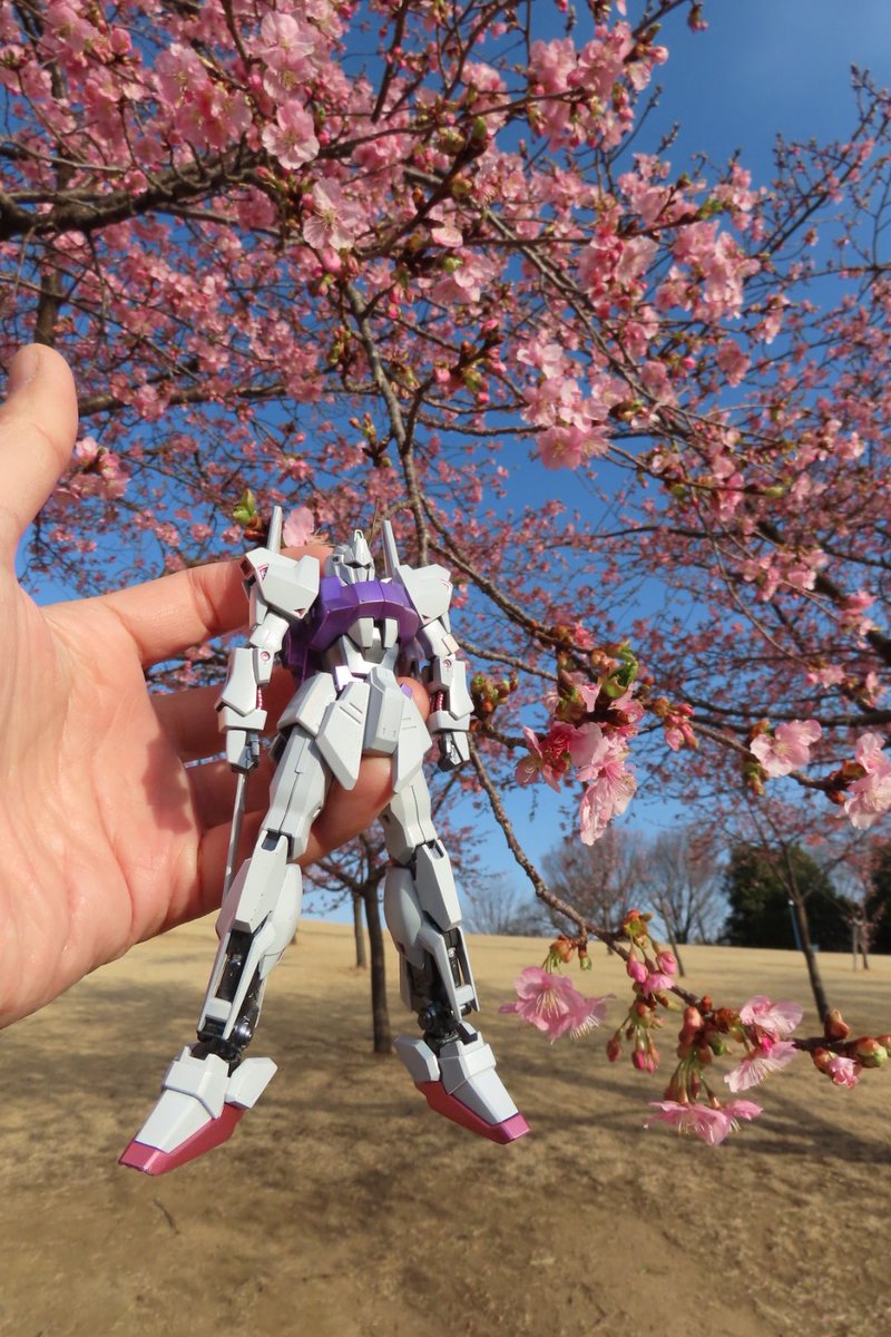 白式と河津桜 #ガンプラ