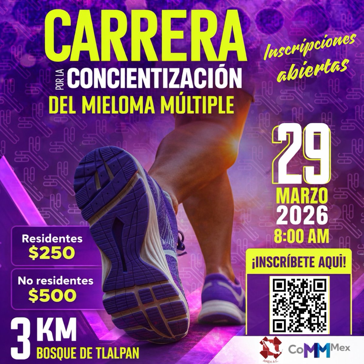 ContactoAmeh's tweet photo. INSCRIPCIONES ABIERTAS 🚨

🏃‍♀️🏃‍♂️ Súmate a la Carrera por la Concientización del Mieloma Múltiple y corre con causa 💜

📅 29 de marzo 2026
⏰ 8:00 AM
📍 Bosque de Tlalpan
📏 3 KM

🔗 Inscríbete aquí:
👉 https://t.co/3GwUZODhat https://t.co/B5mor7pmKO