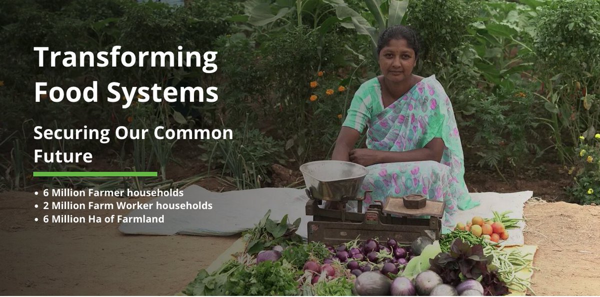 john thackara 约翰·萨卡拉 tweet media