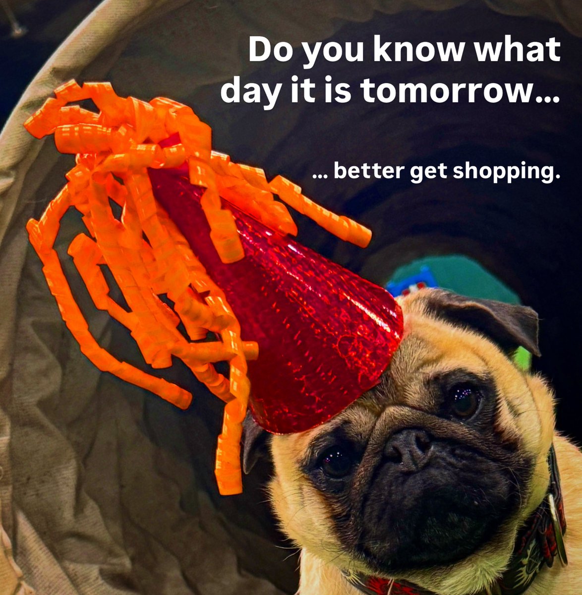 Zombie Pug & Crowley aka Lil C tweet media