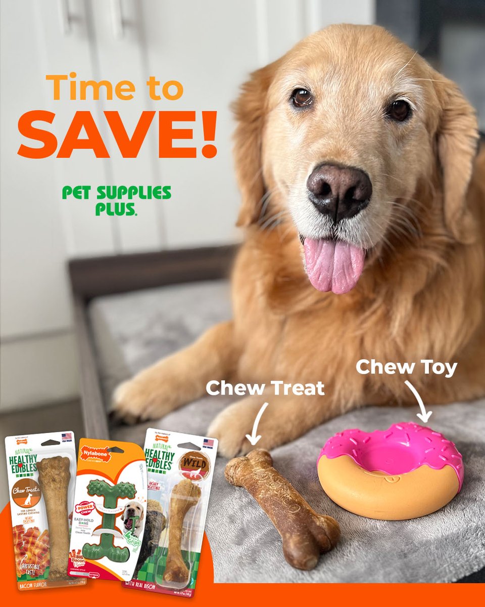Nylabone Products tweet media