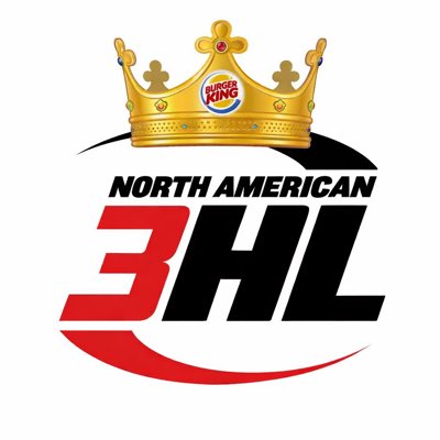 Mnhighschoolhockeyscout tweet media