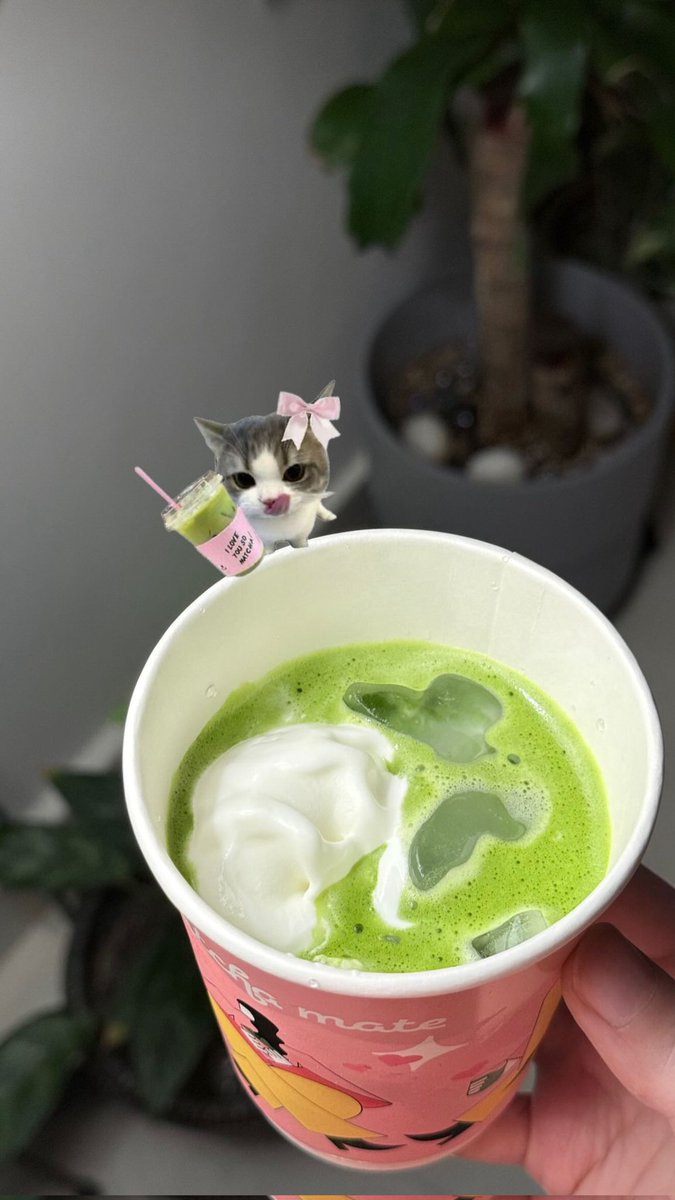 ʚ❤︎ɞ tweet media