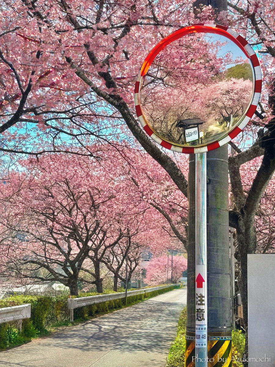 小豆餅乃Another Room tweet media