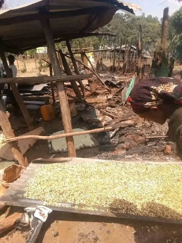 Waan Oromoon keessa jiru yeroo dubbannuu fi miidiyaa irratti maxxansinu ofii teenyee qaamni biraa furmaata itti haa barbaaduuf miti. Kun ummata Oromoo qe'eef qabeenyi isaa irratti gubameedha. Abee Dongoroo.💔