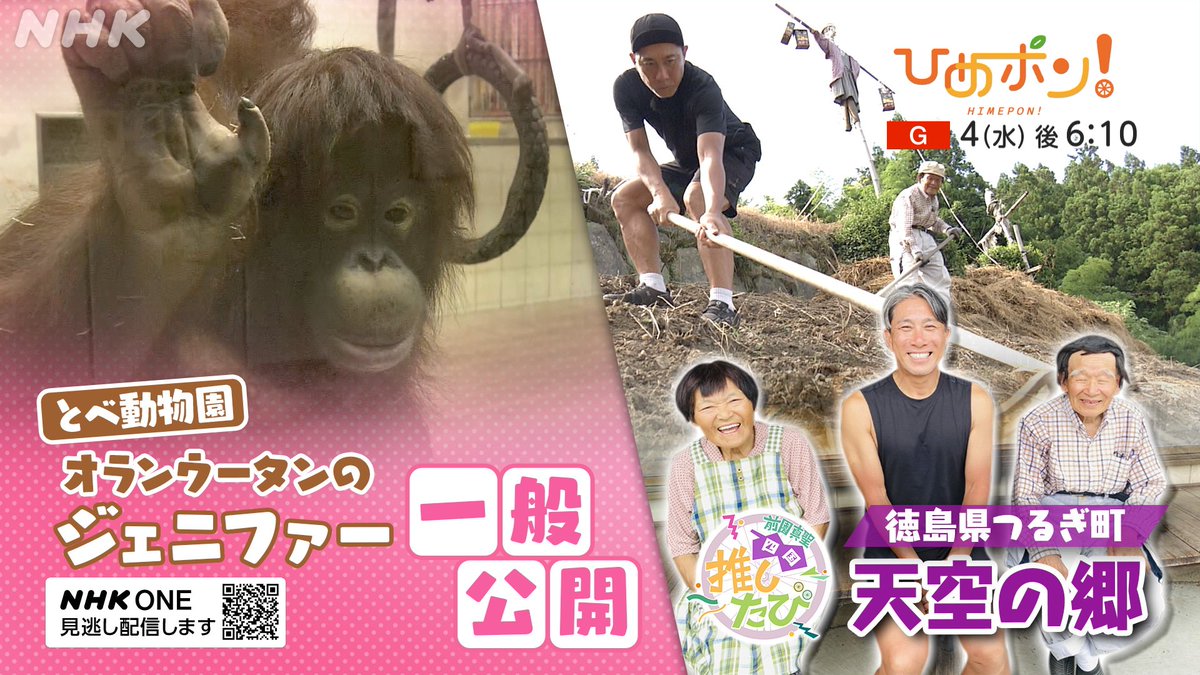 NHK松山放送局 tweet media