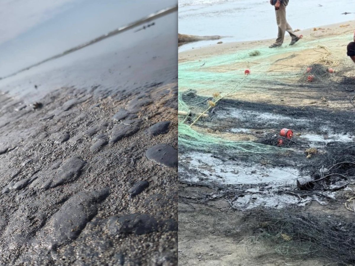 🛑Cierran playas en municipios del sur Veracruz por grave contaminación de hidrocarburo; invade derrame más de 50 kilómetros

laclaveonline.com/2026/03/03/cie…