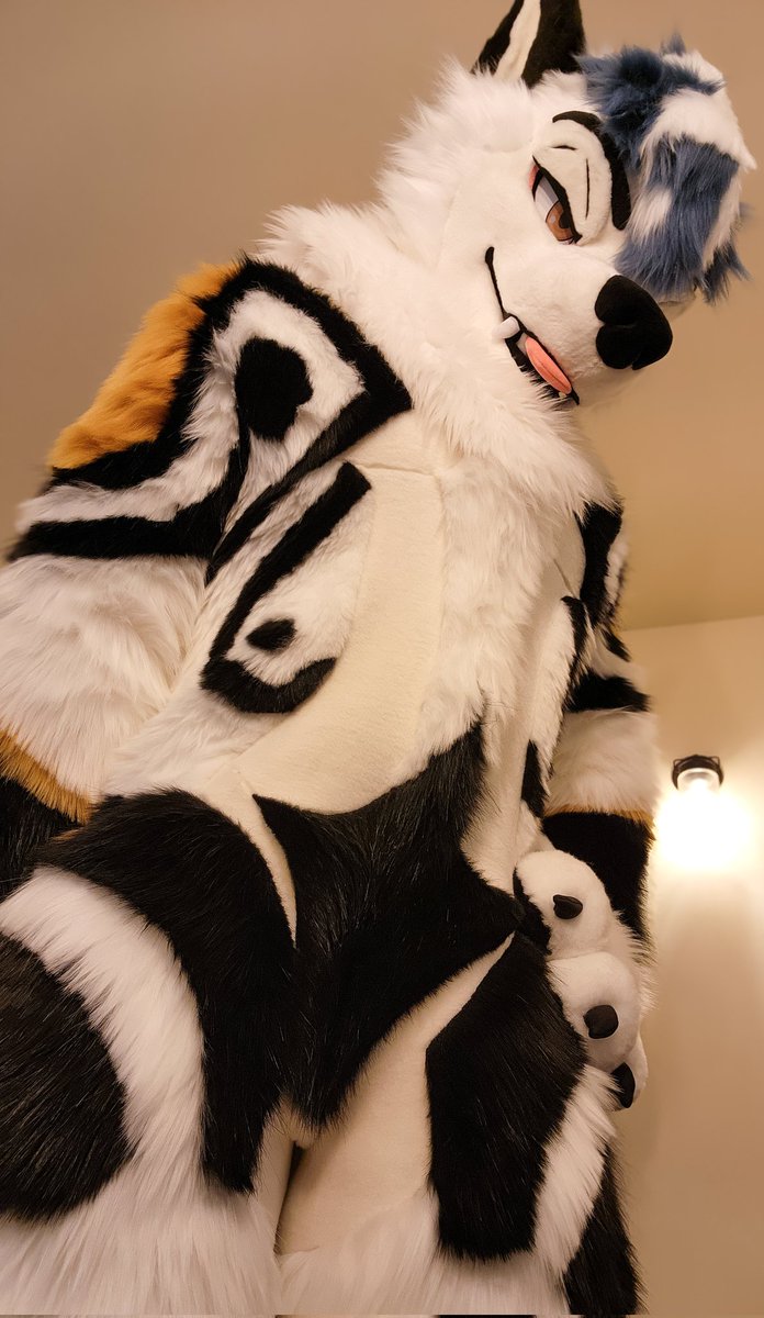 Fraye➡️FWA tweet media