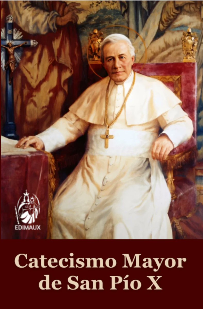 El Catecismo Mayor de San Pío X, fiel a su estilo claro y directo, explica la existencia de la Iglesia como el medio necesario diseñado por Dios para la salvación de las almas.
Según este texto, la Iglesia existe principalmente para los siguientes fines: