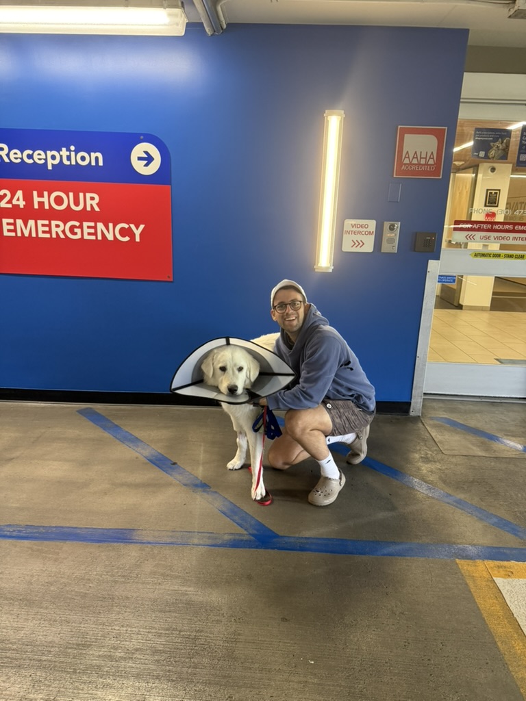 Pat Walls tweet media