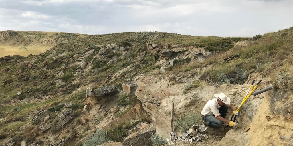 Frost Science tweet media