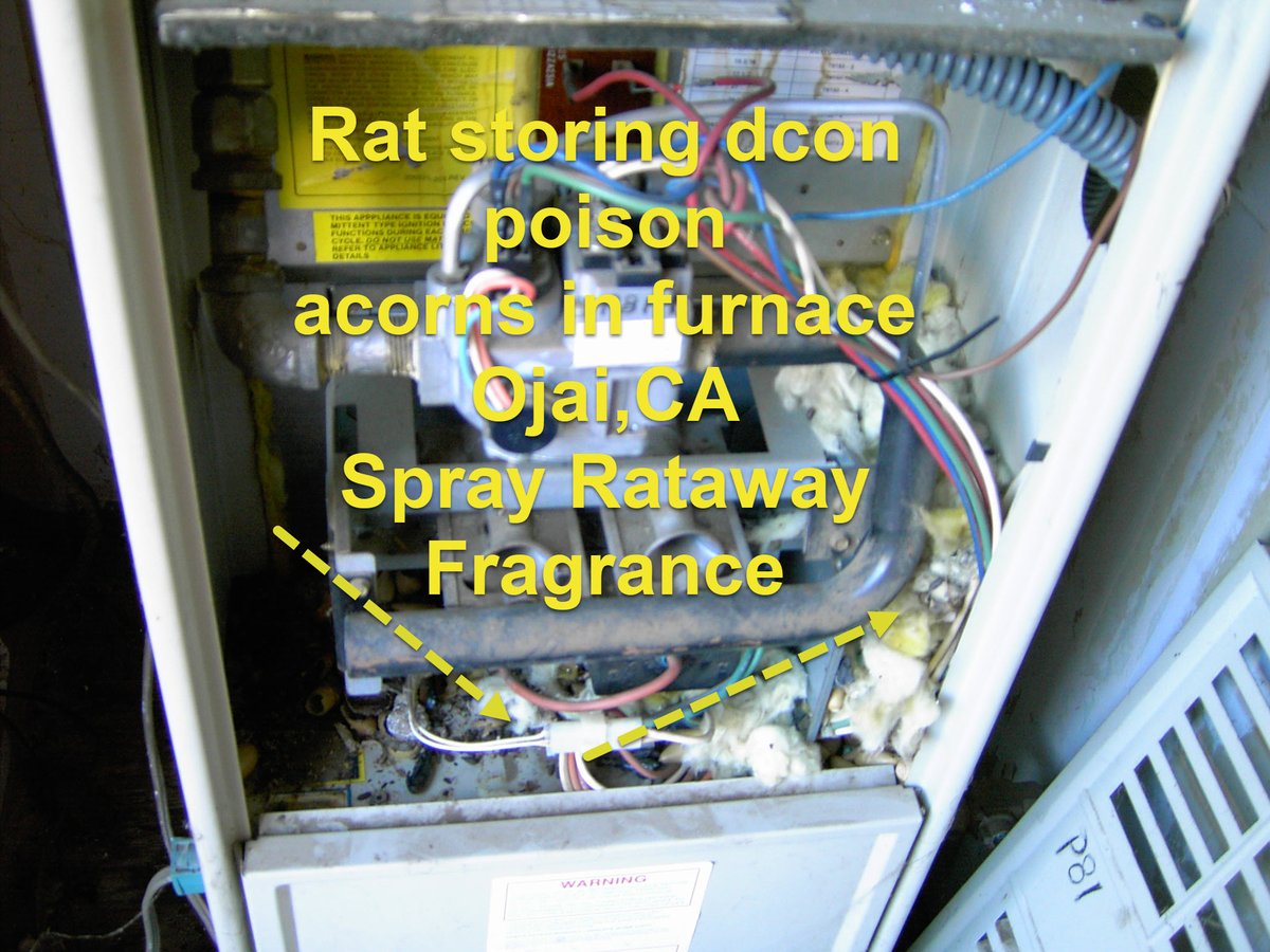 RickSuddes1's tweet photo. Spray Rataway Fragrance go to https://t.co/0MO2xmNP3Z https://t.co/sp9MHZXVpF