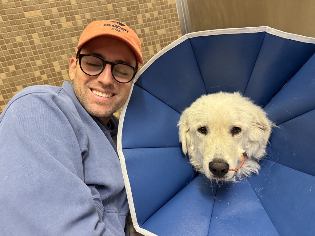 Pat Walls tweet media