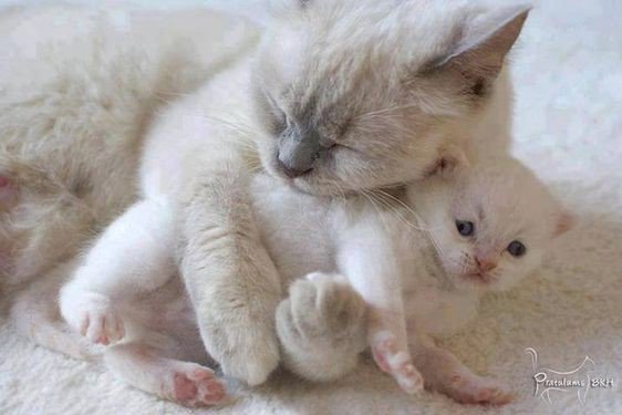 おはようございます🍊
今日も一日
2026年03月04日
一粒万倍日✨️

本日、家内トラブル発生につきお返事は午後になるかと思います。
申し訳ありません。