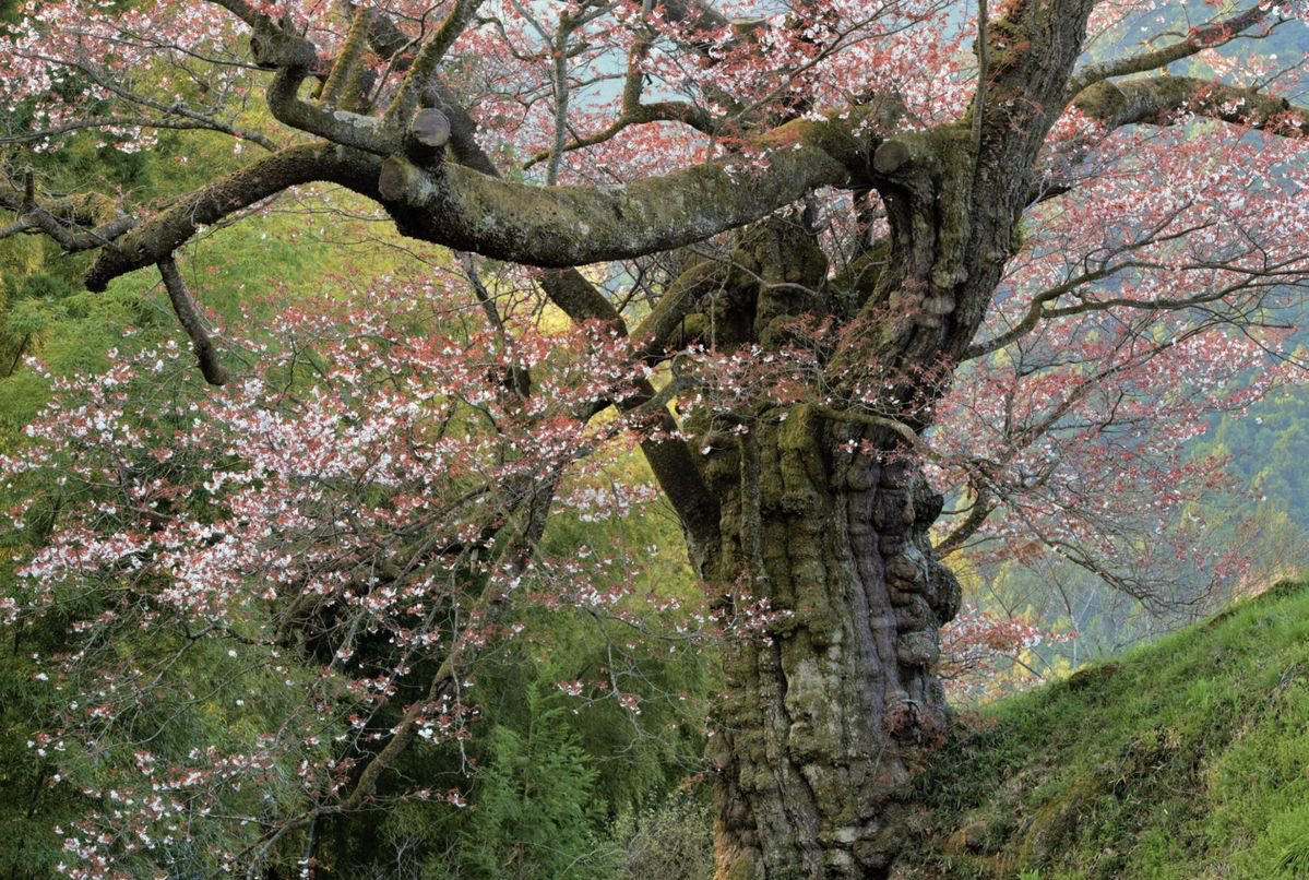 َ (@147luv) on Twitter photo 