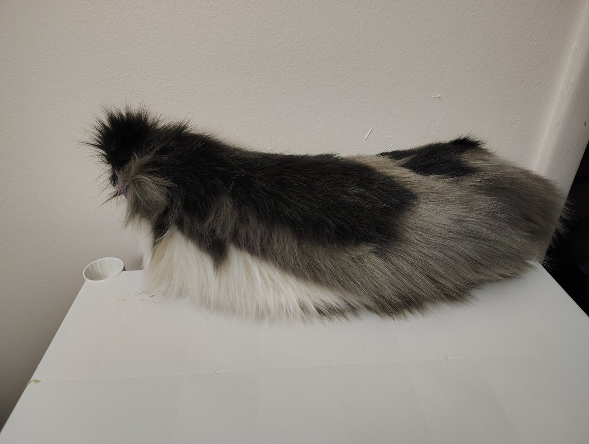 WickedForster's tweet photo. ✨3 Tails for sale

All $60 + S&amp;H
They are extra wiggle tails with weighted beef in the tail 
First come first survey 
#1 returns Black Pweter and Latte and 20" in length https://t.co/JLjkc9Tlr6