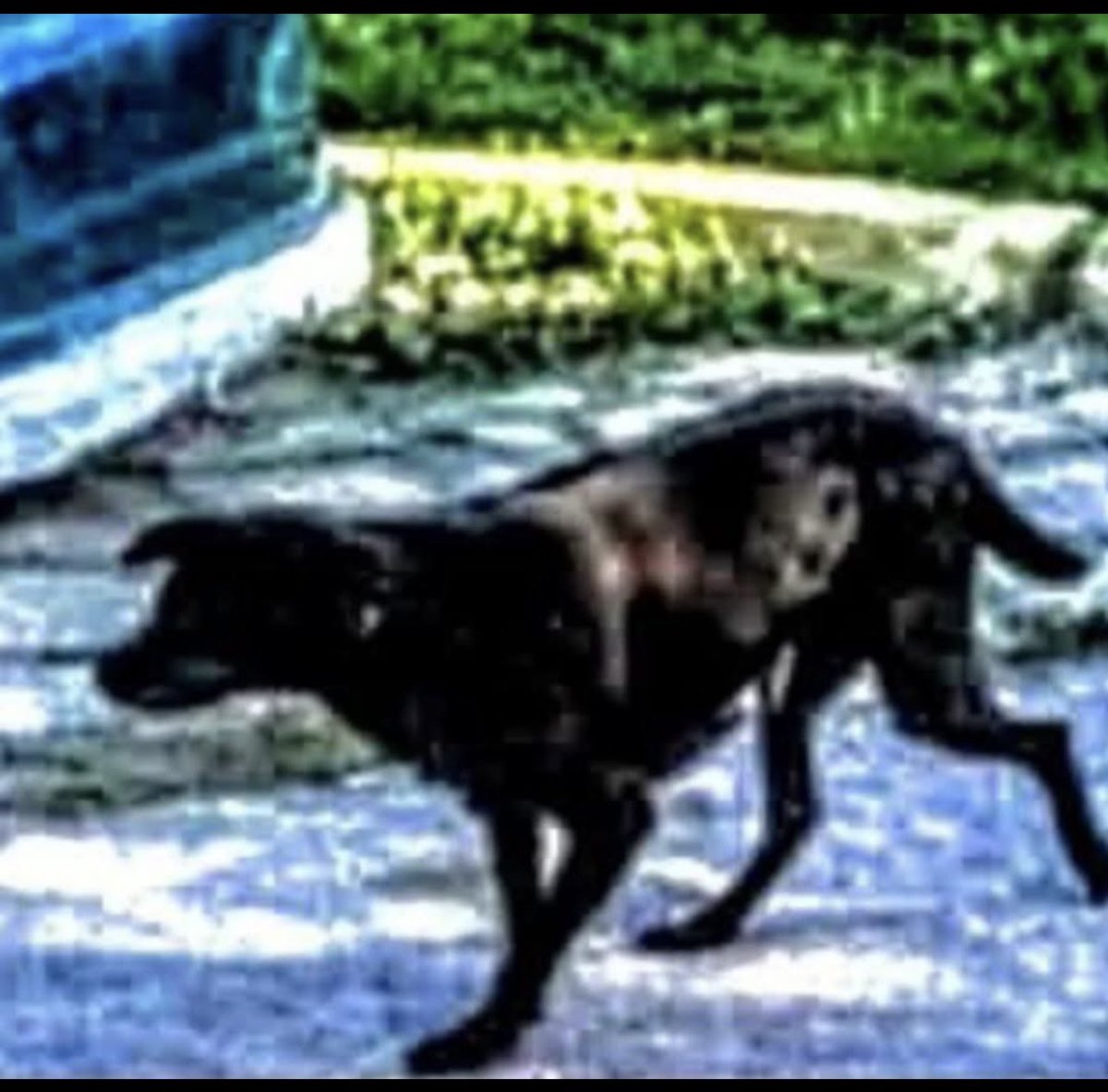 POETISA🇧🇷 ☽✪COUTRY WOMAN☽✪☾ NOT DM🦇 tweet media