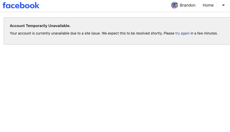 brandon wenerd tweet media