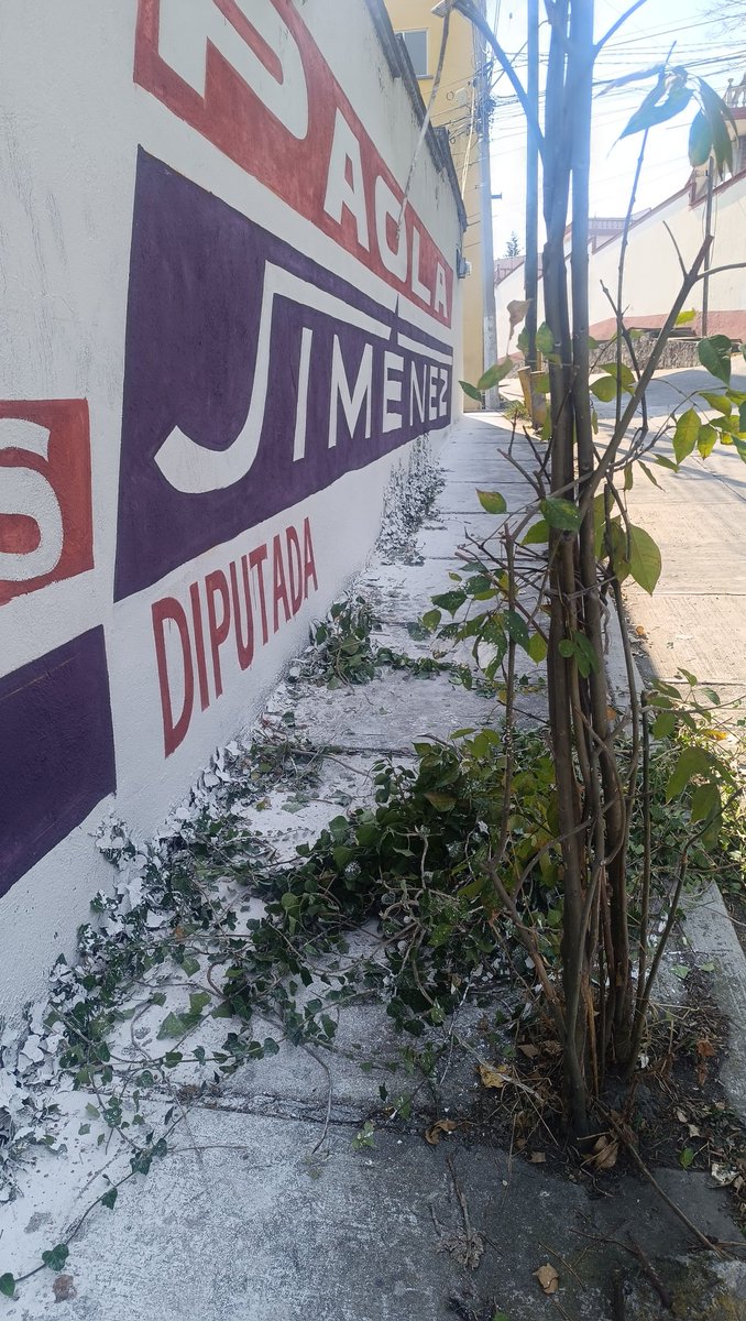 dinish05's tweet photo. @Proyecto21RM @paojimh Y dejar las calles así con tu propaganda, qué dice de ti? https://t.co/7neUCjZktU