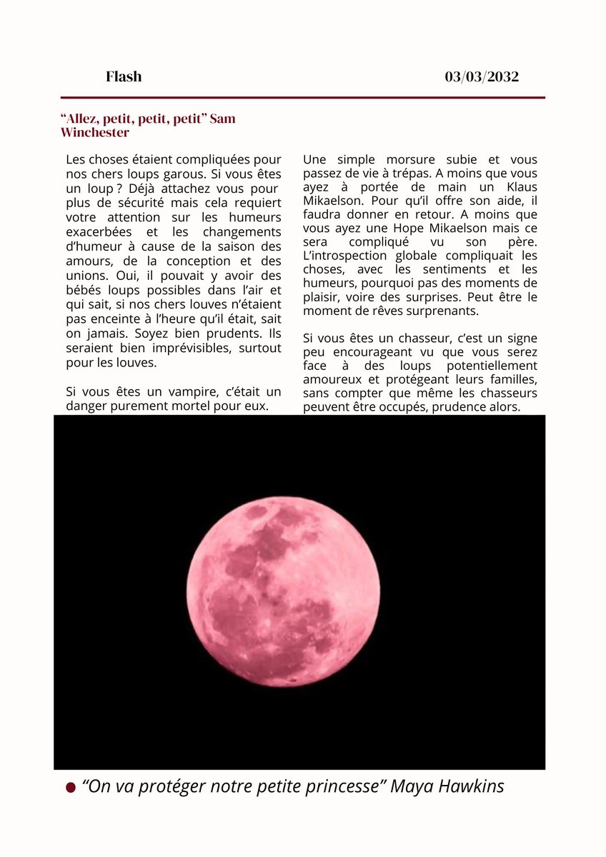 𝐓𝐡𝐞 𝐋𝐢𝐠𝐡𝐭 𝐆𝐨𝐬𝐬𝐢𝐩 tweet media