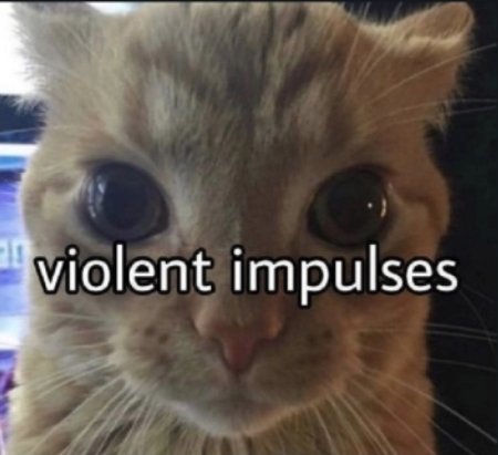 LEV Andres lvs joo tweet media