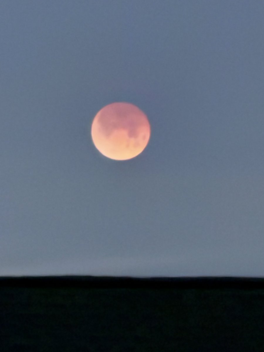 DanielleDozier's tweet image. Lunar eclipse photos from North Alabama! #lunareclipse #eclipse
