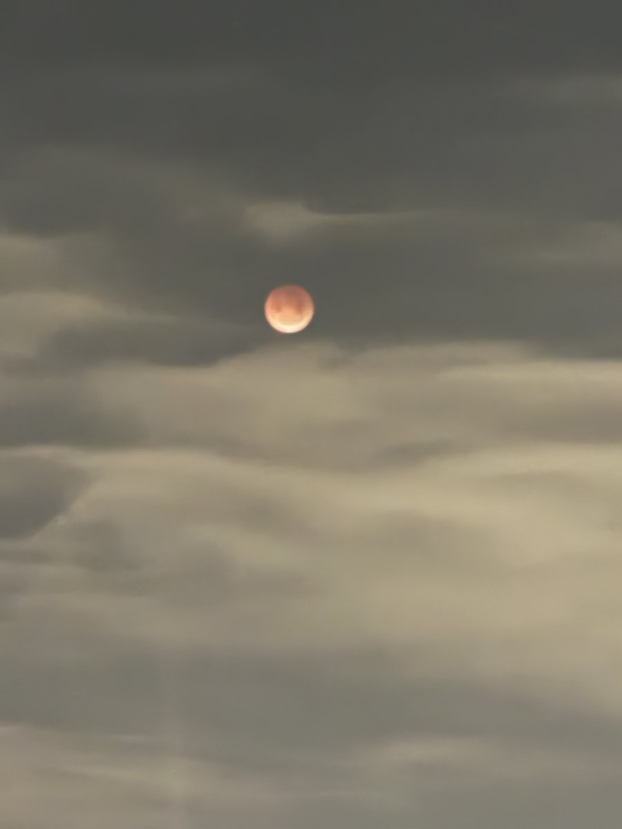 DanielleDozier's tweet image. Lunar eclipse photos from North Alabama! #lunareclipse #eclipse
