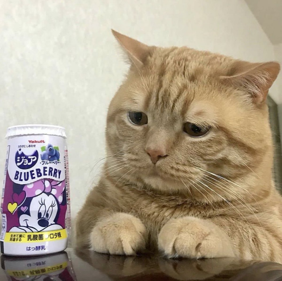 「僕が食べられるのをください…」