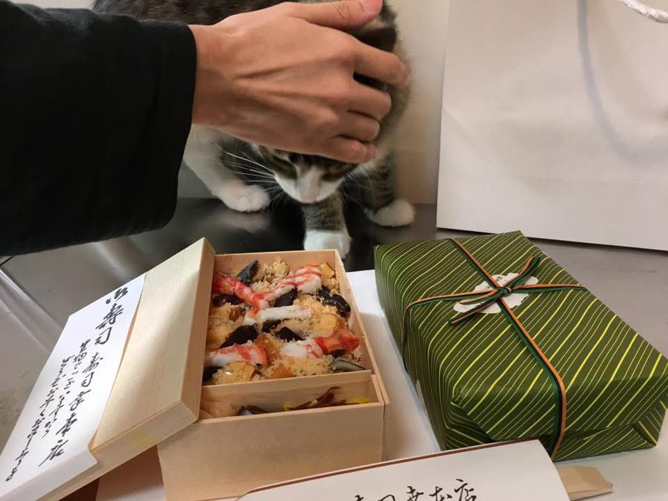 ocotacat's tweet photo. ฅ^•ω•^ฅ海老食べたいでしゅ！！

📸2017.3.3 https://t.co/clRmCIqtEH