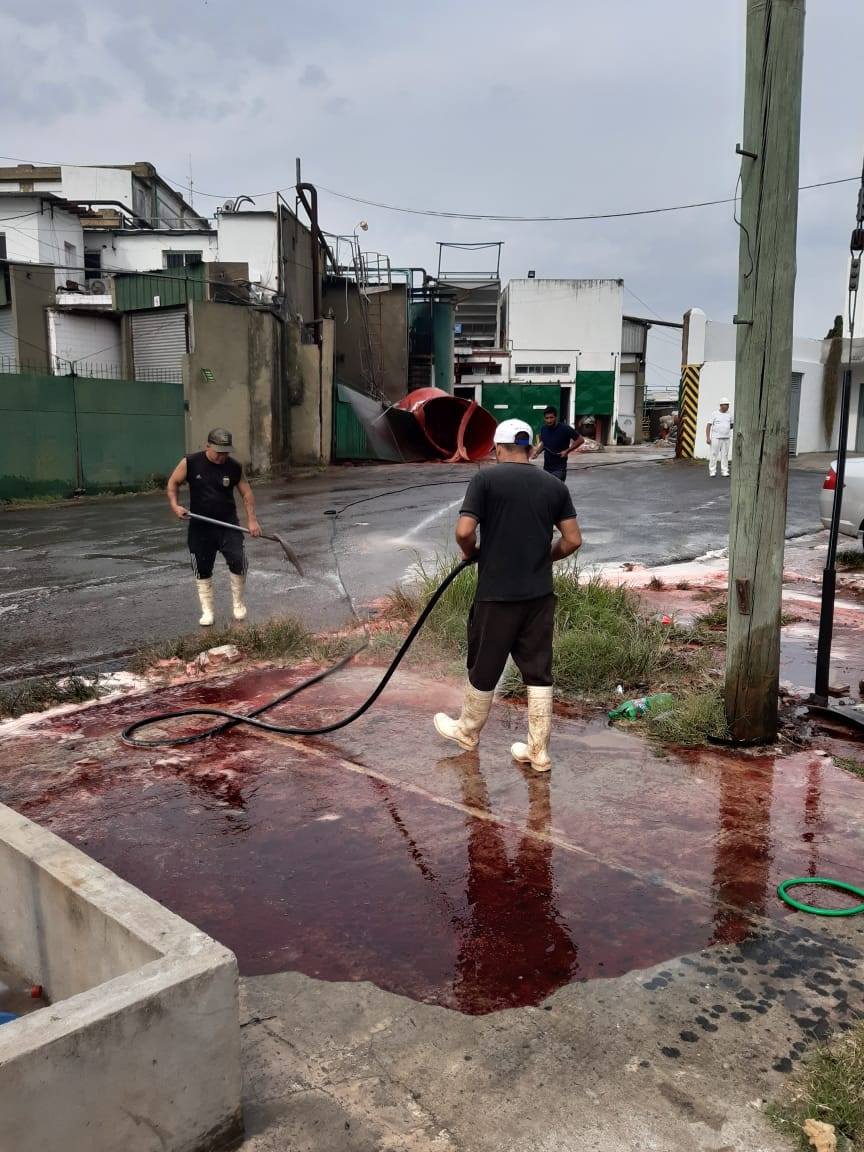 Festeja el barrio Francisco Urbano, los vecinos del Cementerio de Morón. Durante años luchando para que se vayan de ahí por contaminantes. Festejan las agrupaciones defensoras de animales y los veganos. No me digan que no se vende carne! empresarios cazadores de zoológico