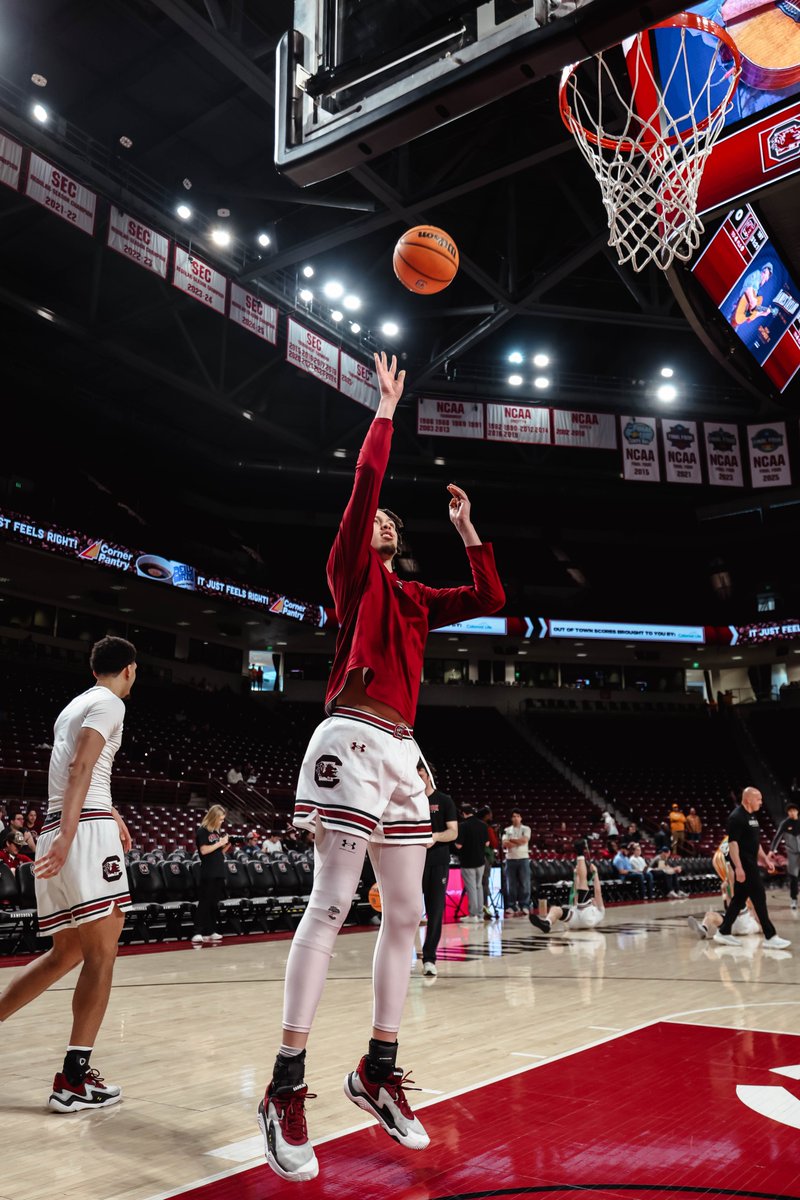 GamecockMBB's tweet image. Senior night showdown 🔜

#Gamecocks 🐔🏀 // #EarnIt