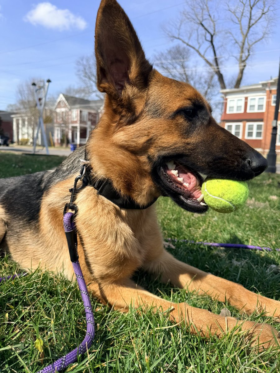 Space Chick Jen 👩🏻‍🚀 tweet media