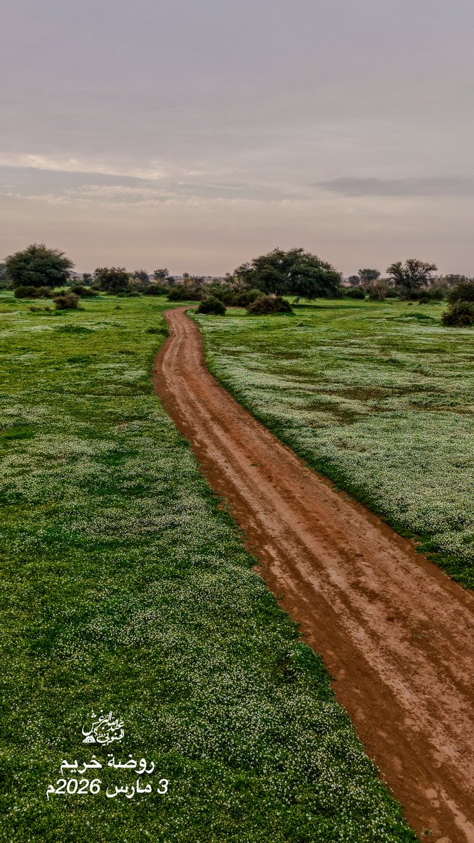 عبدالله البرغش (الجنوبي 2000) tweet media