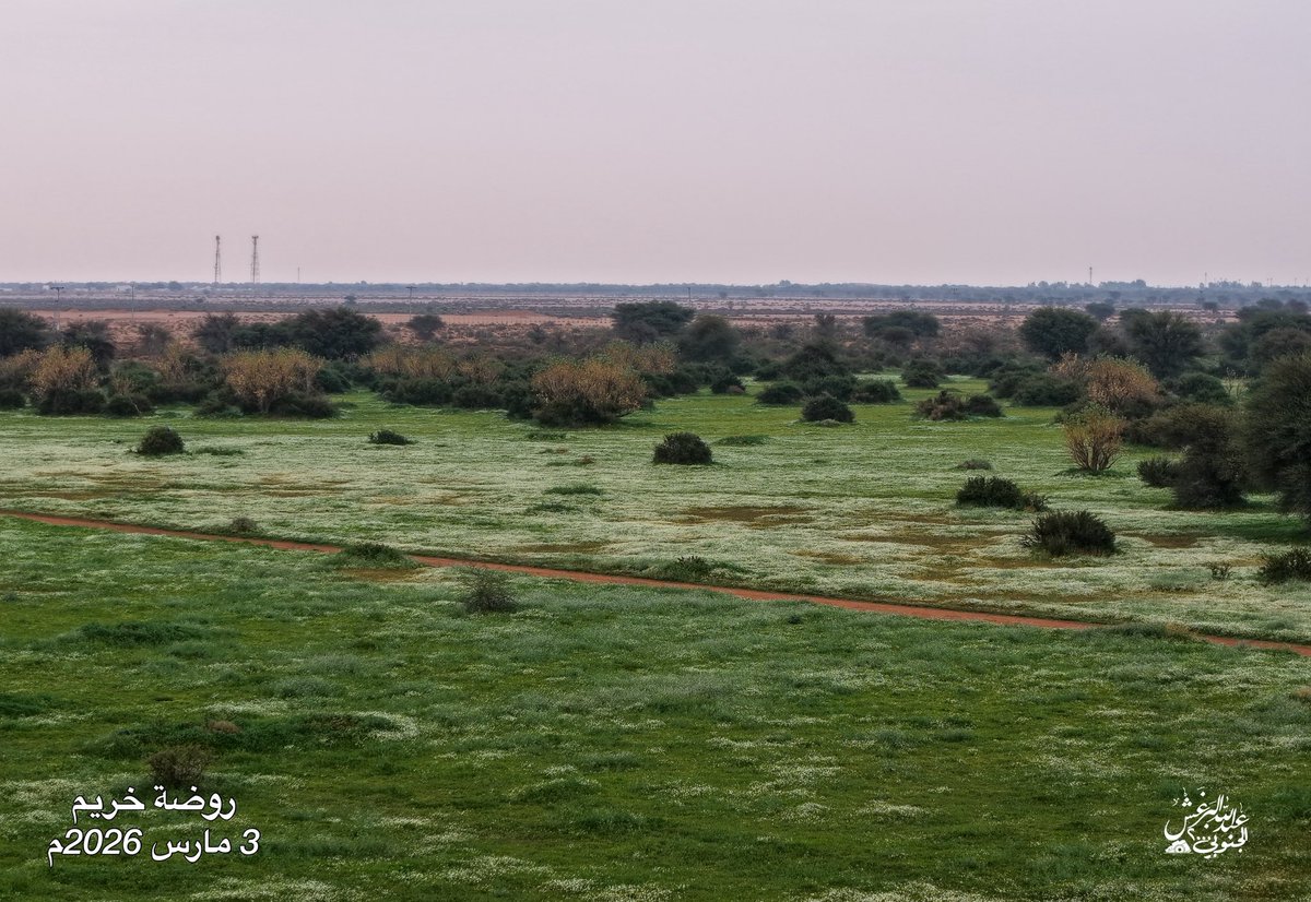 عبدالله البرغش (الجنوبي 2000) tweet media