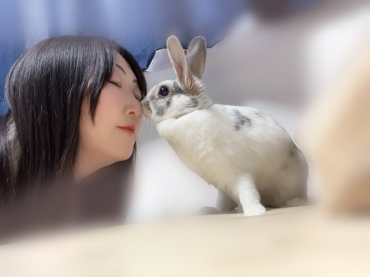 おはようございます。 昨日3/3はうさぎさんのお誕生日でした🎂 いつも